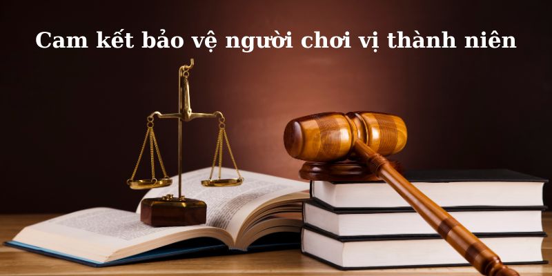 Chính sách trách nhiệm cam kết bảo vệ người chơi vị thành niên