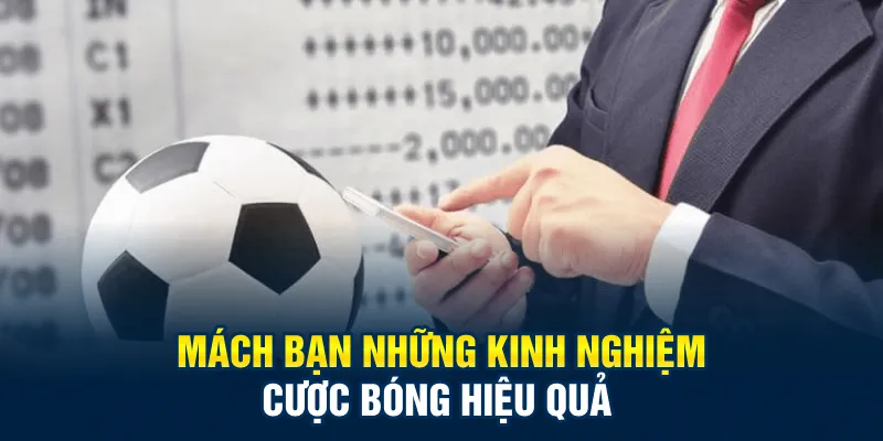 Mách bạn những kinh nghiệm cược bóng hiệu quả
