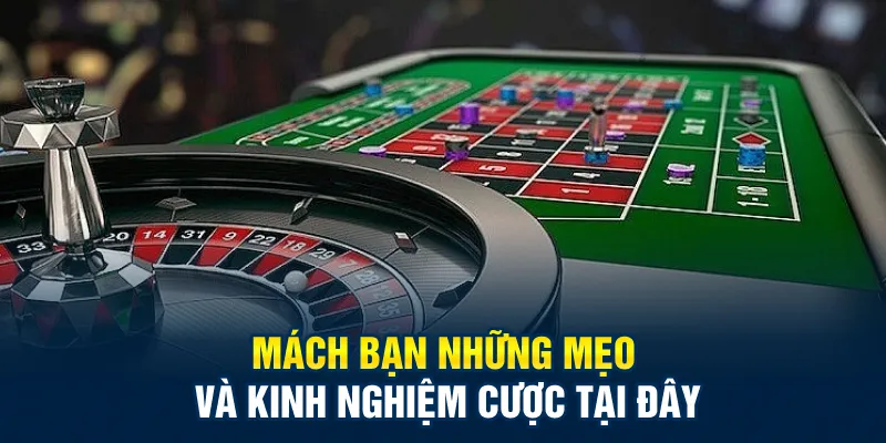 Mách bạn những mẹo và kinh nghiệm cược tại đây