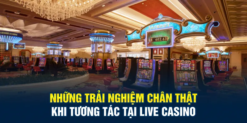 Những trải nghiệm chân thật khi tương tác tại live casino