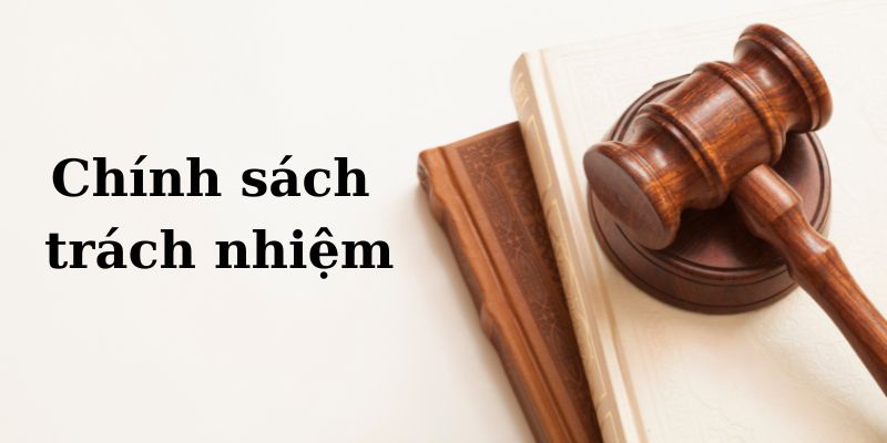 Thông tin tổng quan về chính sách trách nhiệm