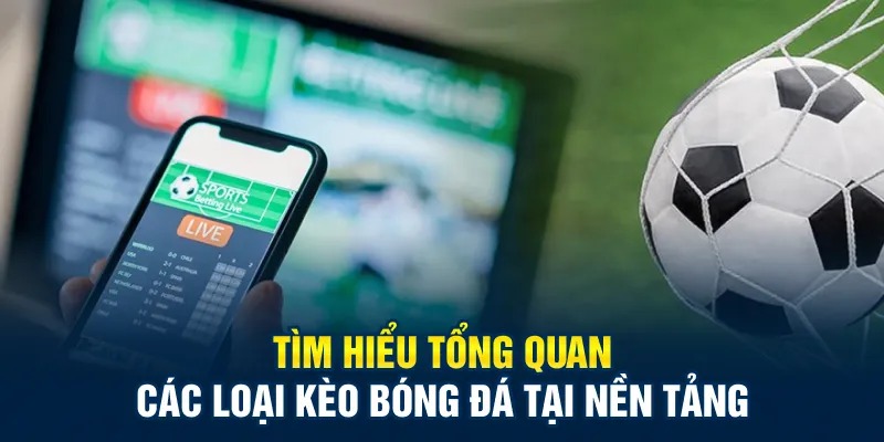 Tìm hiểu tổng quan các loại kèo bóng đá tại nền tảng